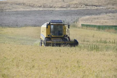 ABB’nin sertifikalı nohut tohumu desteği sonrası hasat başladı