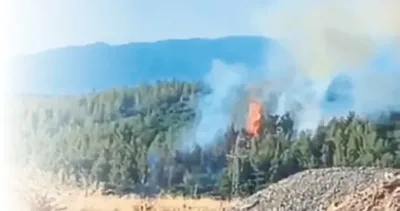 Antalya’da ormanları kundaklayan altı kişi gözaltına alındı