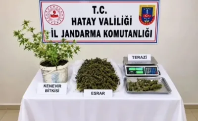 Hatay’da uyuşturucu operasyonu: 1 kişi tutuklandı